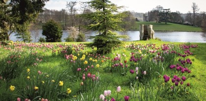 Discover Dorset’s best kept secret – Sherborne Castle & Gardens