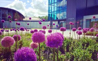 World of Wedgwood Courtyard