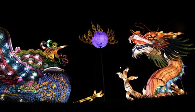 Award-winning Yorkshire Wildlife Park unveils Christmas magic as spectacular light and lantern festival commences