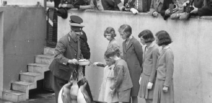 Celebrate the Zoobilee at ZSL London Zoo