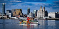 FAMILY-FRIENDLY WILDLIFE CRUISE ON THE MERSEY