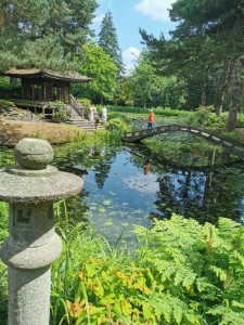 Japanese Garden welcomes Mini Matsuri Summer Festival_13 August 2022