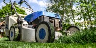 The Wildlife Trusts and RHS call on gardeners to bring their lawns to life