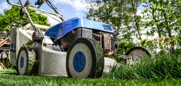 The Wildlife Trusts and RHS call on gardeners to bring their lawns to life