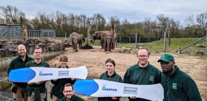 Have you HERD the elephant-astic news at Blackpool Zoo?