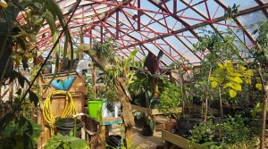 Behind the scenes at Stratford Butterfly Farm!