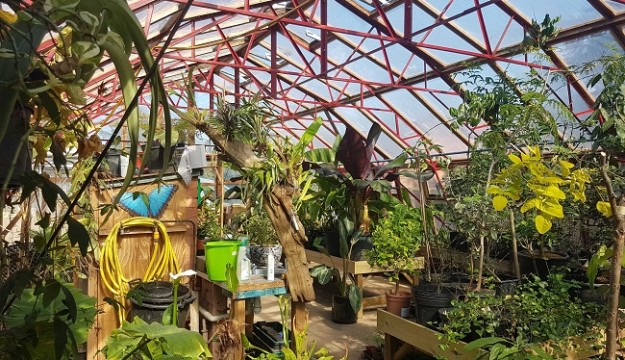 Stratford Butterfly Farm embarks on new improvements prior to re-opening!