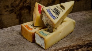 In need of a cheese fix?