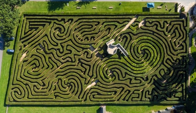 Short Back and Sides for Hedge Maze