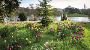 Discover Dorset’s best kept secret – Sherborne Castle & Gardens