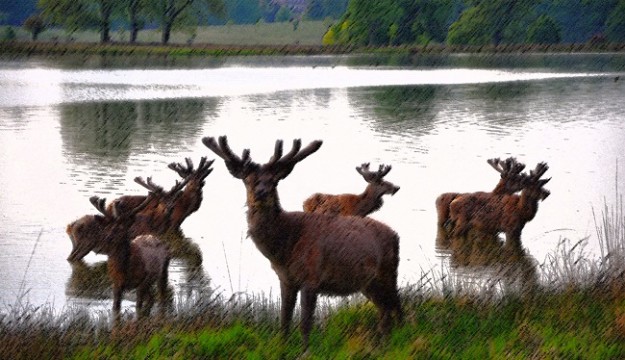 Tatton Park receives lifeline grant from Government’s £1.57bn Culture Recovery Fund