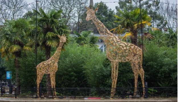 The Magic of Christmas at ZSL London Zoo