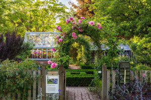 Cottage Garden at Barnsdale Gardens
