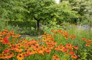 Rose Garden at Barnsdale Gardens