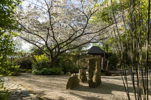 Japanese Garden at Barnsdale Gardens