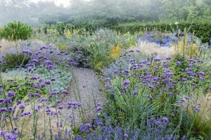 Mediterranean Garden at Barnsdale Gardens