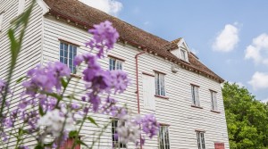 A great day out at Museum of East Anglian Life