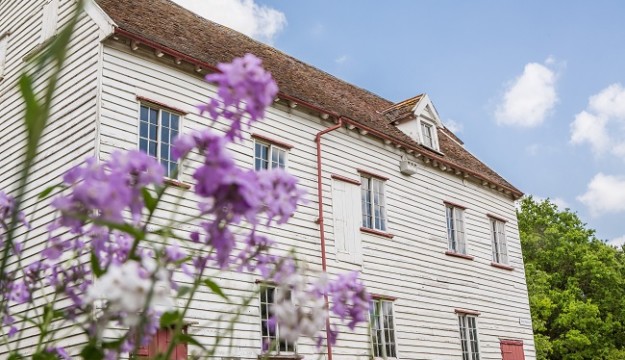 A great day out at Museum of East Anglian Life