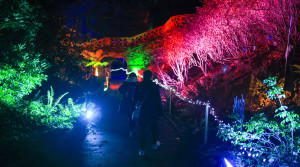 Hever Castle raises more than £14,000 for Make a Wish UK