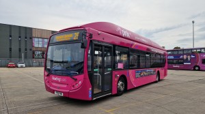 New bolder pink bus returns