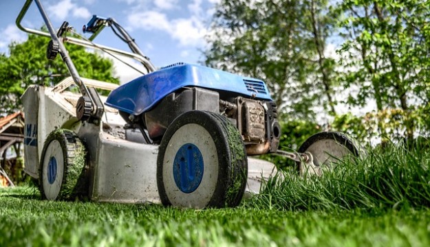 The Wildlife Trusts and RHS call on gardeners to bring their lawns to life