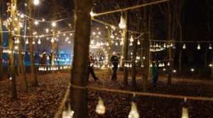 Make Memories this Christmas at the National Memorial Arboretum
