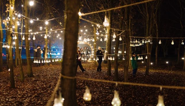 Make Memories this Christmas at the National Memorial Arboretum