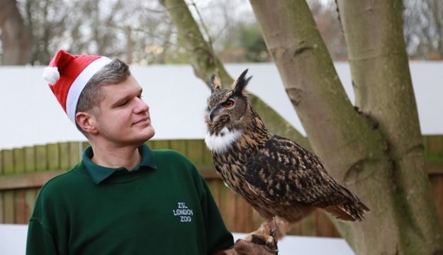 The Magic of Christmas at London Zoo