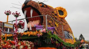 Be dazzled by Spalding’s incredible Flower Parade