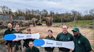 Have you HERD the elephant-astic news at Blackpool Zoo?
