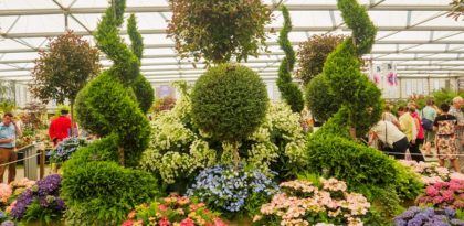 RHS Chelsea Flower Show Gardens Reduce their Carbon footprint