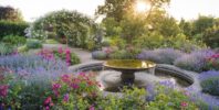 RHS Announces New Appointments