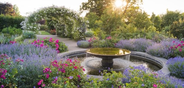 Make the most of summer with blooming lovely events across RHS Gardens