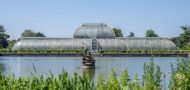 Plans submitted to renovate Kew’s iconic Palm House