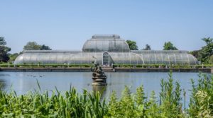 Plans submitted to renovate Kew’s iconic Palm House
