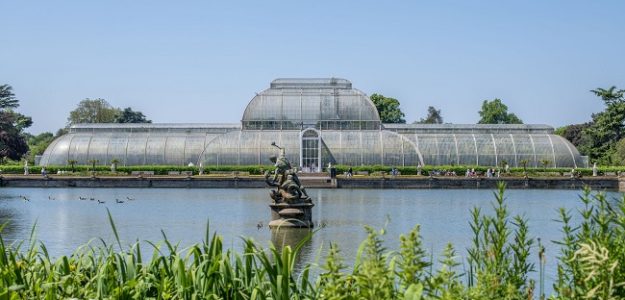 Plans submitted to renovate Kew’s iconic Palm House