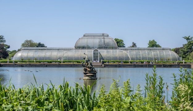 Plans submitted to renovate Kew’s iconic Palm House