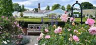 Birmingham Botanical Gardens secures major grant