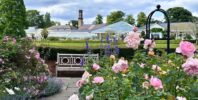 Birmingham Botanical Gardens secures major grant