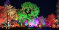 Group visits to RHS Glow – On Sale Now