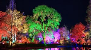 Group visits to RHS Glow – On Sale Now