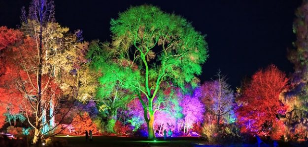Group visits to RHS Glow – On Sale Now